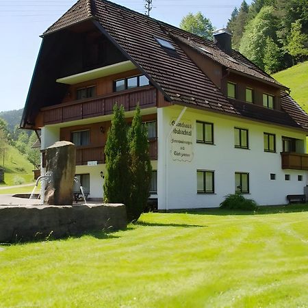 Gaestehaus Absbachtal Bad Rippoldsau-Schapbach Kültér fotó