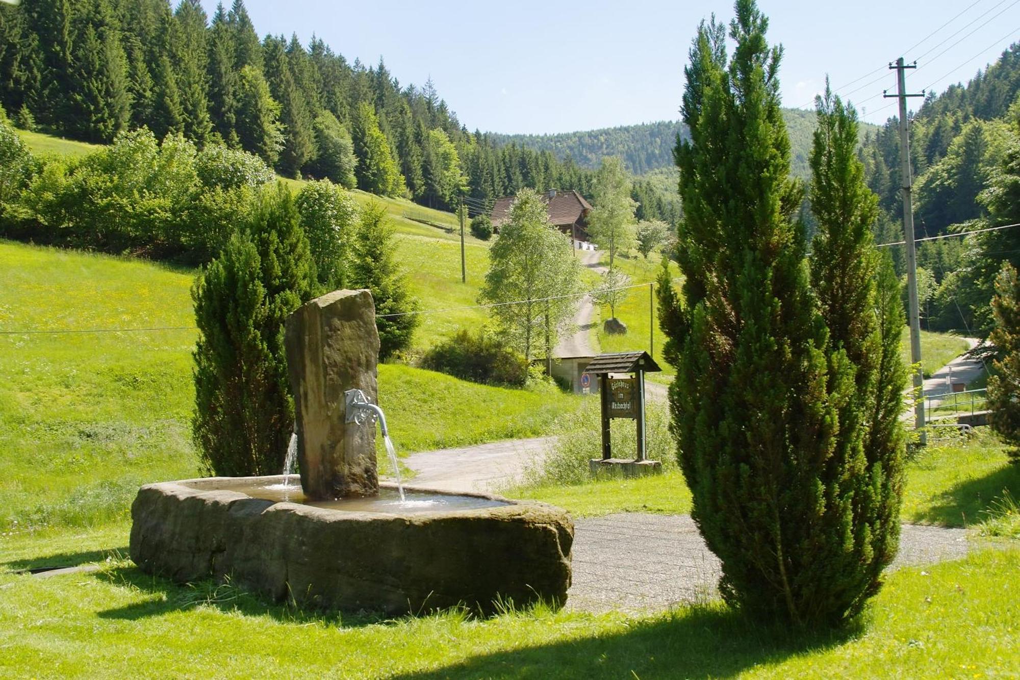 Gaestehaus Absbachtal Bad Rippoldsau-Schapbach Kültér fotó