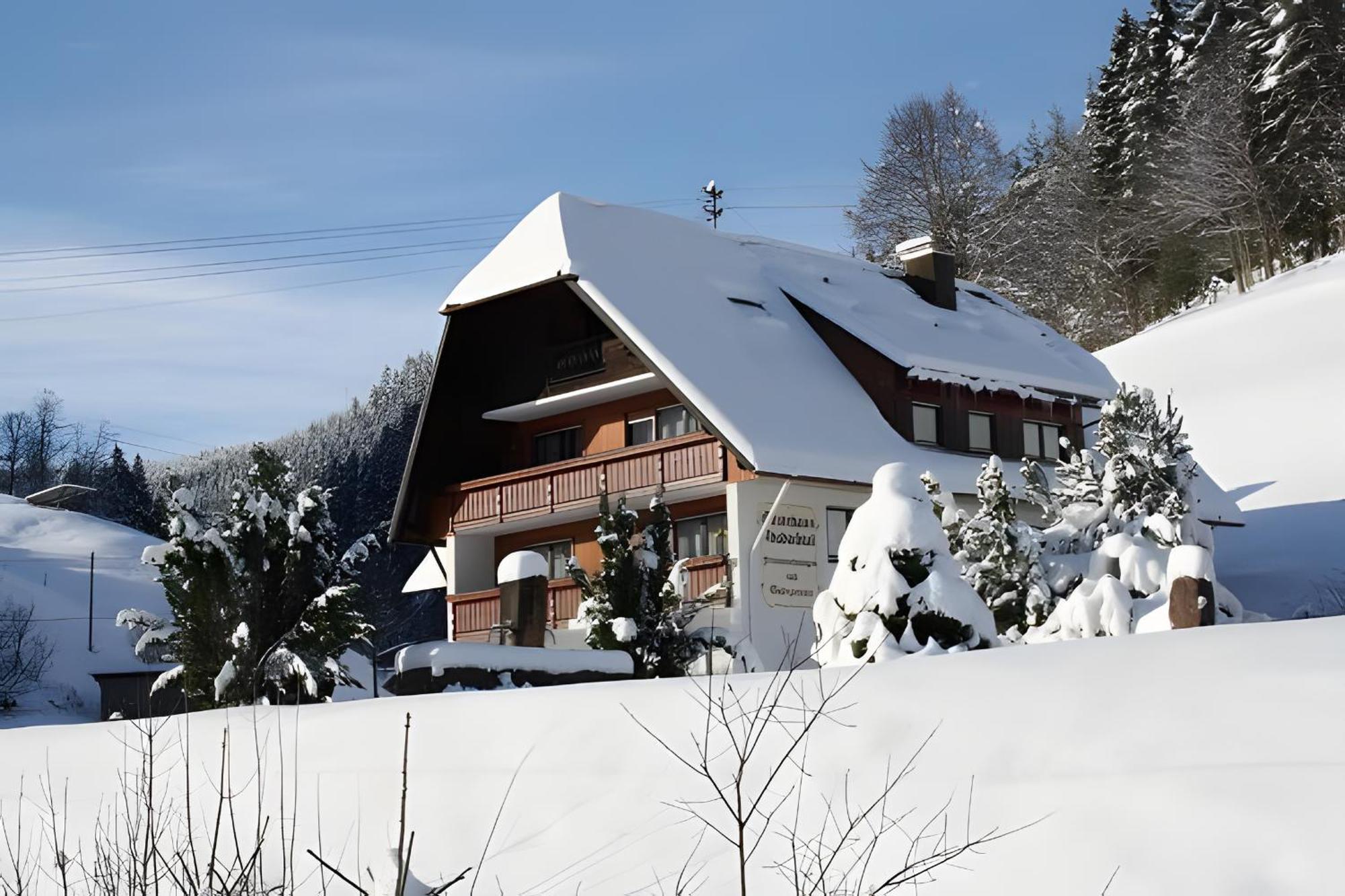 Gaestehaus Absbachtal Bad Rippoldsau-Schapbach Kültér fotó